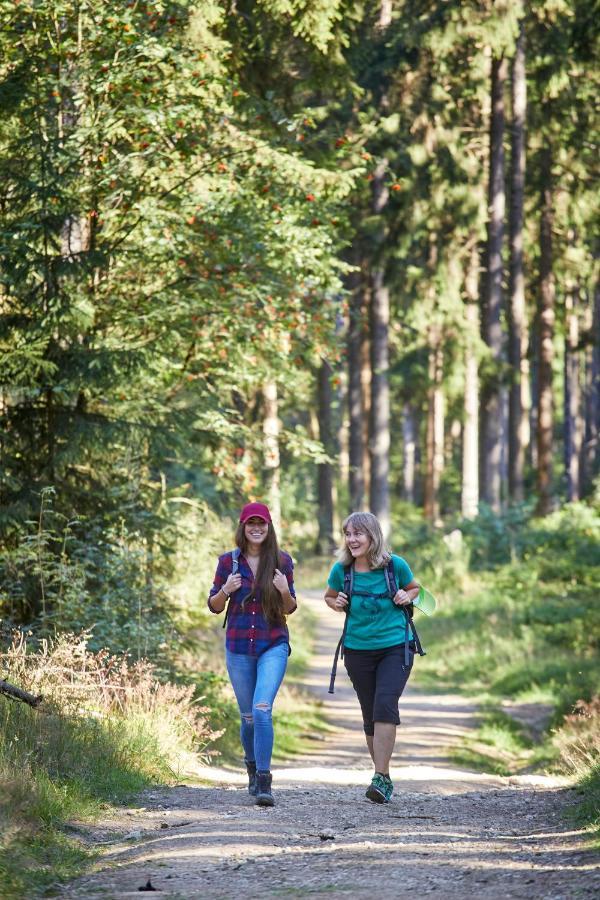 Land-Gut-Hotel Am Ring Meuspath Zewnętrze zdjęcie